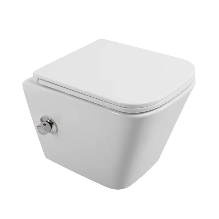 Подвесной унитаз BelBagno Due BB3103CHR-BS